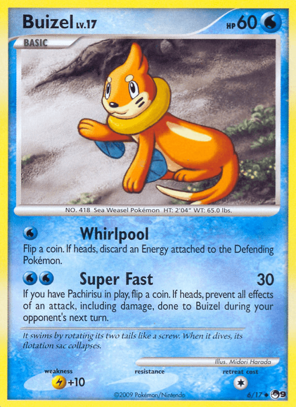 Buizel — POP Series 9 6