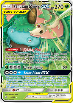 Venusaur & Snivy-GX 1